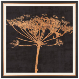 John Lewis Charlotte Oakley 'Copper Allium' Framed Print & Mount, 36 x 36cm, Dark Grey/Metallic - thumbnail 1