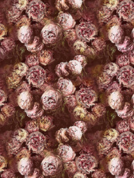 Designers Guild Vespertina Made to Measure Curtains or Roman Blind, Sepia