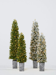 John Lewis Finchley Potted Pre-lit Christmas Tree, Green - thumbnail 5