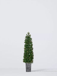 John Lewis Finchley Potted Pre-lit Christmas Tree, Green - thumbnail 3