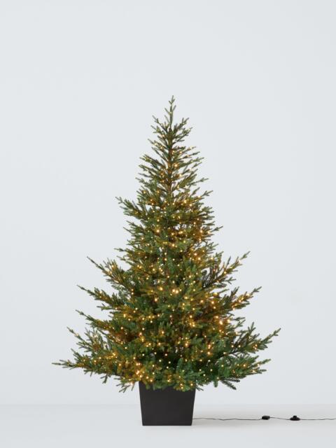 John Lewis Cotswold Potted Pre-lit Christmas Tree, 7ft