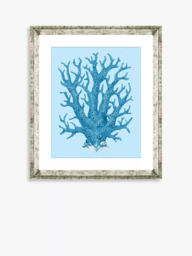 Brookpace Lascelles 'Blue Coral 8' Framed Print & Mount, 46 x 36cm, Blue - thumbnail 1