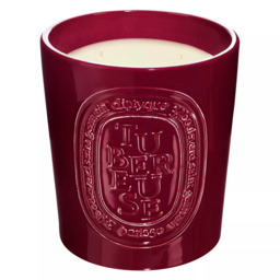 Diptyque Large Indoor & Outdoor Tubéreuse Scented Candle, 1500g - thumbnail 2