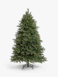 John Lewis Brunswick Spruce Unlit Christmas Tree, 6ft - thumbnail 1