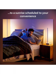 Philips Hue Signe Gradient Floor Lamp, Oak - thumbnail 4