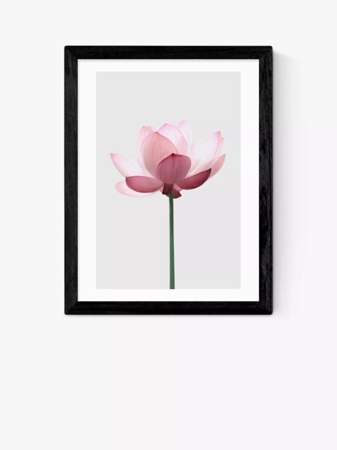 EAST END PRINTS Sisi and Seb 'Lotus' Framed Print - image 1