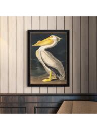 John Lewis John James Audubon 'White Pelican' Framed Print, 77 x 57cm - thumbnail 2