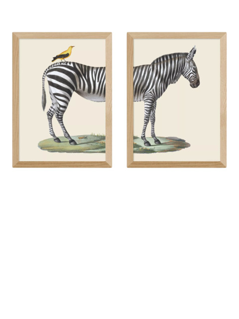 EAST END PRINTS Natural History Museum 'Zebra & Bird' Framed Print, Set of 2 - image 1