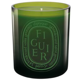 Diptyque Figuier Vert Scented Candle, 300g