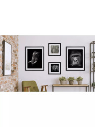 Brookpace Lascelles Gorilla Framed Print & Mount, 81 x 65.5cm, Black/White - thumbnail 2