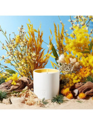 Maison Francis Kurkdjian Les Tamaris Scented Candle, 280g - thumbnail 3