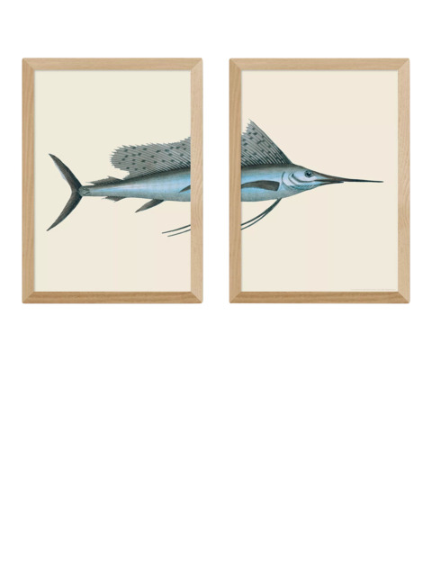 EAST END PRINTS Natural History Museum 'Swordfish' Framed Print, Set of 2