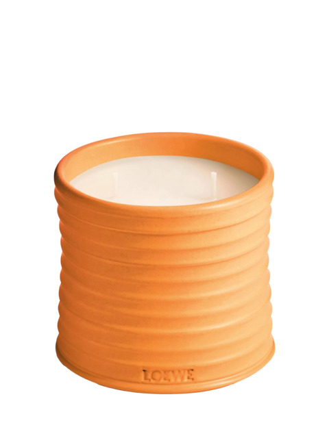 LOEWE Orange Blossom Scented Candle - image 1