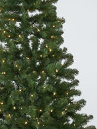 John Lewis Westbury Pre-lit Christmas Tree, 7ft - thumbnail 2
