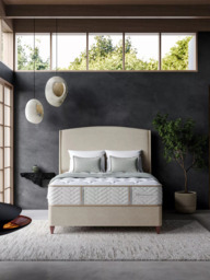 Sealy Posturepedic Exquisite Divan Base, Rich Oak Legs, Double - thumbnail 2