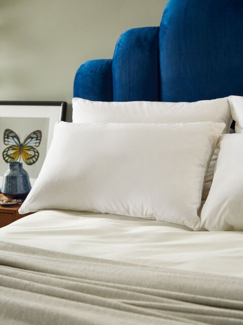 EarthKind™ Reclaimed Natural Down Standard Pillow, Soft/Medium - image 1