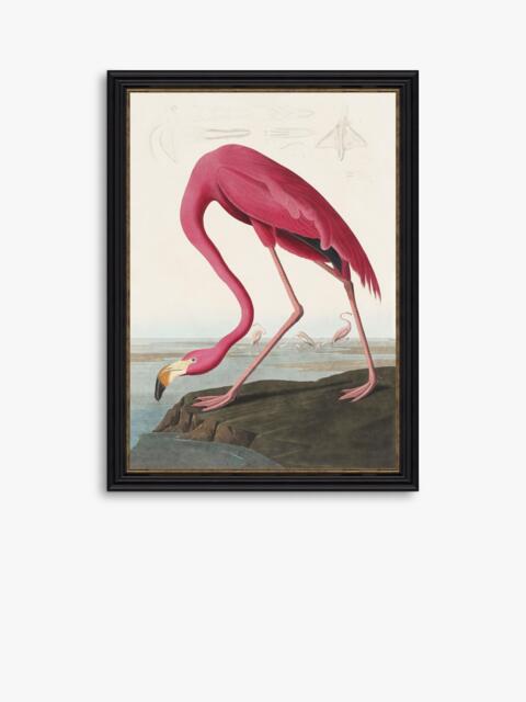 John Lewis John James Audubon 'American Flamingo' Framed Print, 77 x 57cm - image 1