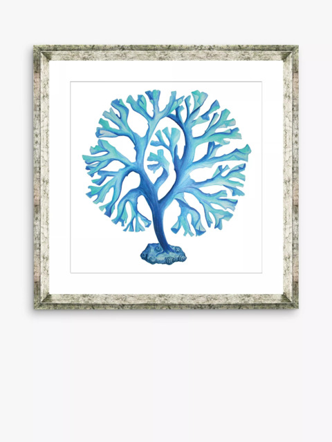Brookpace Lascelles 'Blue Seaweed 4' Framed Print & Mount, 46 x 46cm, Blue - image 1