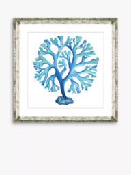 Brookpace Lascelles 'Blue Seaweed 4' Framed Print & Mount, 46 x 46cm, Blue