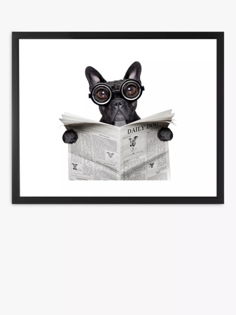 Brookpace Lascelles 'Bulldog News' Framed Print & Mount, 45.5 x 55.5cm, Black/White - image 1