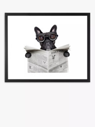 Brookpace Lascelles 'Bulldog News' Framed Print & Mount, 45.5 x 55.5cm, Black/White