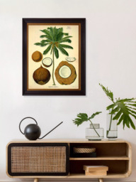 Brookpace Lascelles 'Coconut Palm' Framed Print, 50 x 40cm, Green/Cream - thumbnail 2