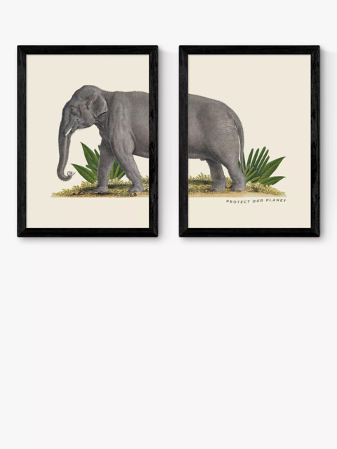 EAST END PRINTS Natural History Museum 'Elephant' Framed Print, Set of 2 - image 1