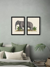 EAST END PRINTS Natural History Museum 'Elephant' Framed Print, Set of 2 - thumbnail 2