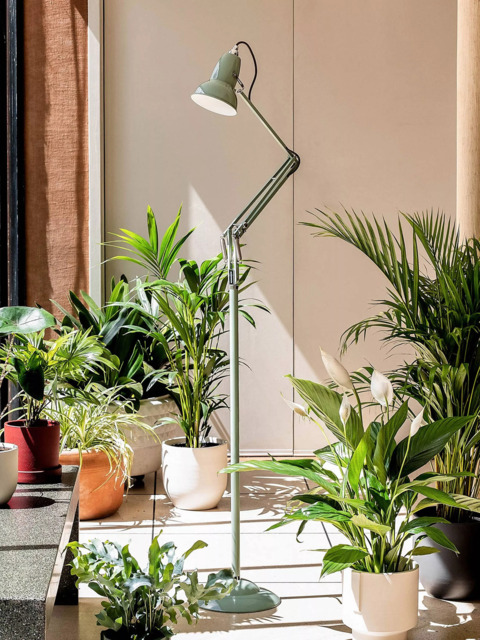 Anglepoise + National Trust 1227 Floor Lamp - image 1