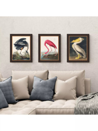 John Lewis John James Audubon Birds Framed Print, Set of 3, 47 x 37cm, Multi - thumbnail 2