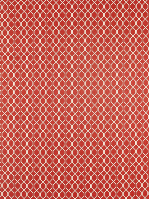 Sanderson Botanic Trellis Made to Measure Curtains or Roman Blinds, Bengal Red - image 1