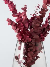 John Lewis Tall Oval Glass Vase, H32cm, Clear - thumbnail 3