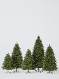 John Lewis Brunswick Spruce Unlit Christmas Tree - thumbnail 5