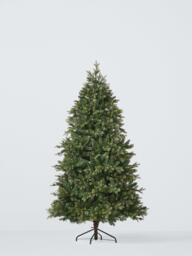 John Lewis Brunswick Spruce Unlit Christmas Tree - thumbnail 1