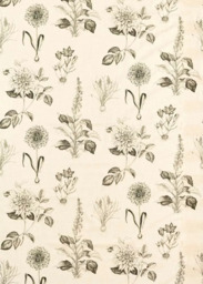 Clarke & Clarke Roseraie Made to Measure Curtains & Roman Blind, Charcoal