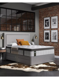 Sealy Posturepedic Adapt Plush Mattress, Regular/Softer Tension, Double - thumbnail 5