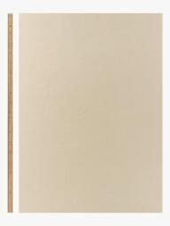 John Lewis Velvet Chenille Pair Heavyweight Thermal Lined Eyelet Curtains - thumbnail 5