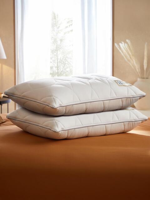 Sealy Dual Comfort Memory Foam Standard Pillow, Medium/Firm - image 1