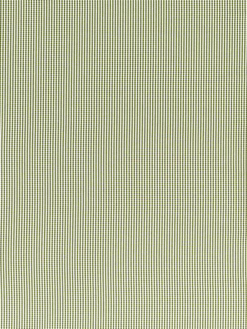 Clarke & Clarke Windsor Made to Measure Curtains or Roman Blind, Sage - image 1