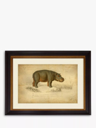 Brookpace Lascelles 'Hippopotamus' Framed Print & Mount, 46 x 55cm, Grey