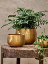 Nkuku Atsu Brass Planter - thumbnail 1