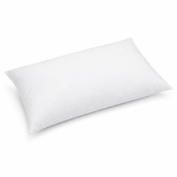 Riva Home Cushion Pad Duck Feather 30x50cm - thumbnail 1