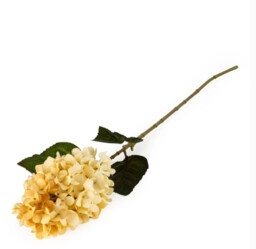 Candlelight Artificial Hydrangea Flower Stem Cream 75cm - thumbnail 1