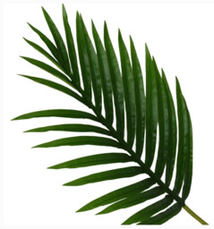 Candlelight Artificial Palm Leaf Frond Green 65cm - thumbnail 2