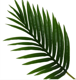 Candlelight Artificial Palm Leaf Frond Green 65cm - thumbnail 3