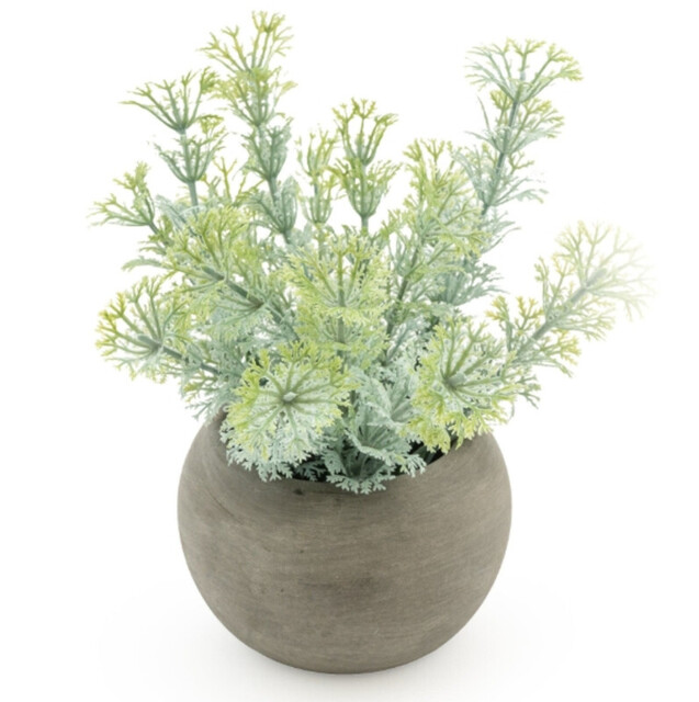 Candlelight Artificial Dwarf Ambulia in Concrete Effect Pot 16cm - image 1