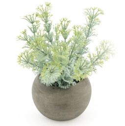 Candlelight Artificial Dwarf Ambulia in Concrete Effect Pot 16cm - thumbnail 1