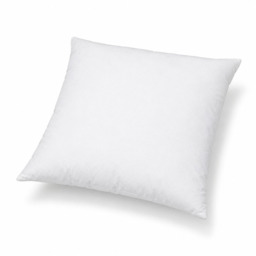 Riva Home Cushion Pad Duck Feather 50x50cm