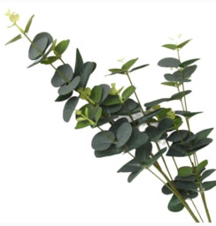Candlelight Artificial Eucalyptus Leaf Stem Green 85cm - thumbnail 2