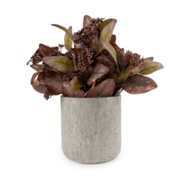 Candlelight Artificial Eucalyptus Plant in Stone Effect Pot 30.5cm - thumbnail 1